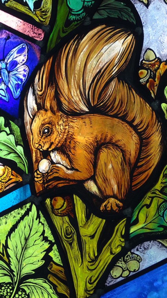 A Saintly Squirrel in Stained Glass