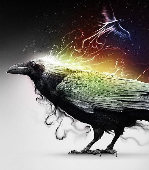 59bae506e5089972b9da83775ef646c8--celtic-mythology-crows-ravens (1)